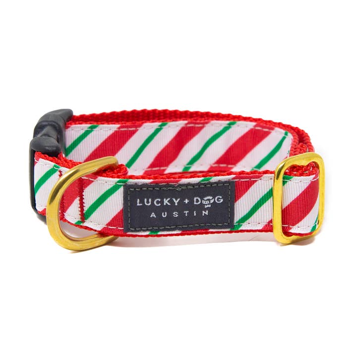 Activewear - Candy Cane Stripe for wholesale by LUCKY + DOG