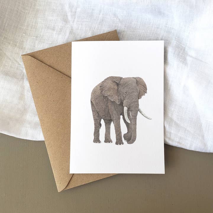 A6 Elephant Wildlife Greetings Card for wholesale by Lauren Fitton Illustration