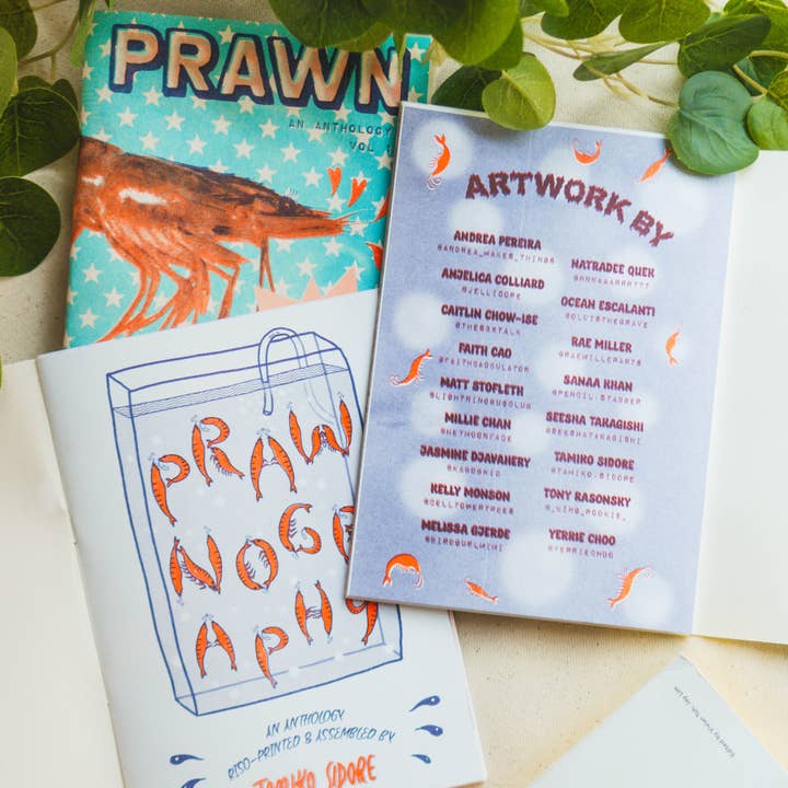 Tamiko Sidore Studio - Wholesale Reference Book - PRAWNOGRAPHY Risograph Zine2