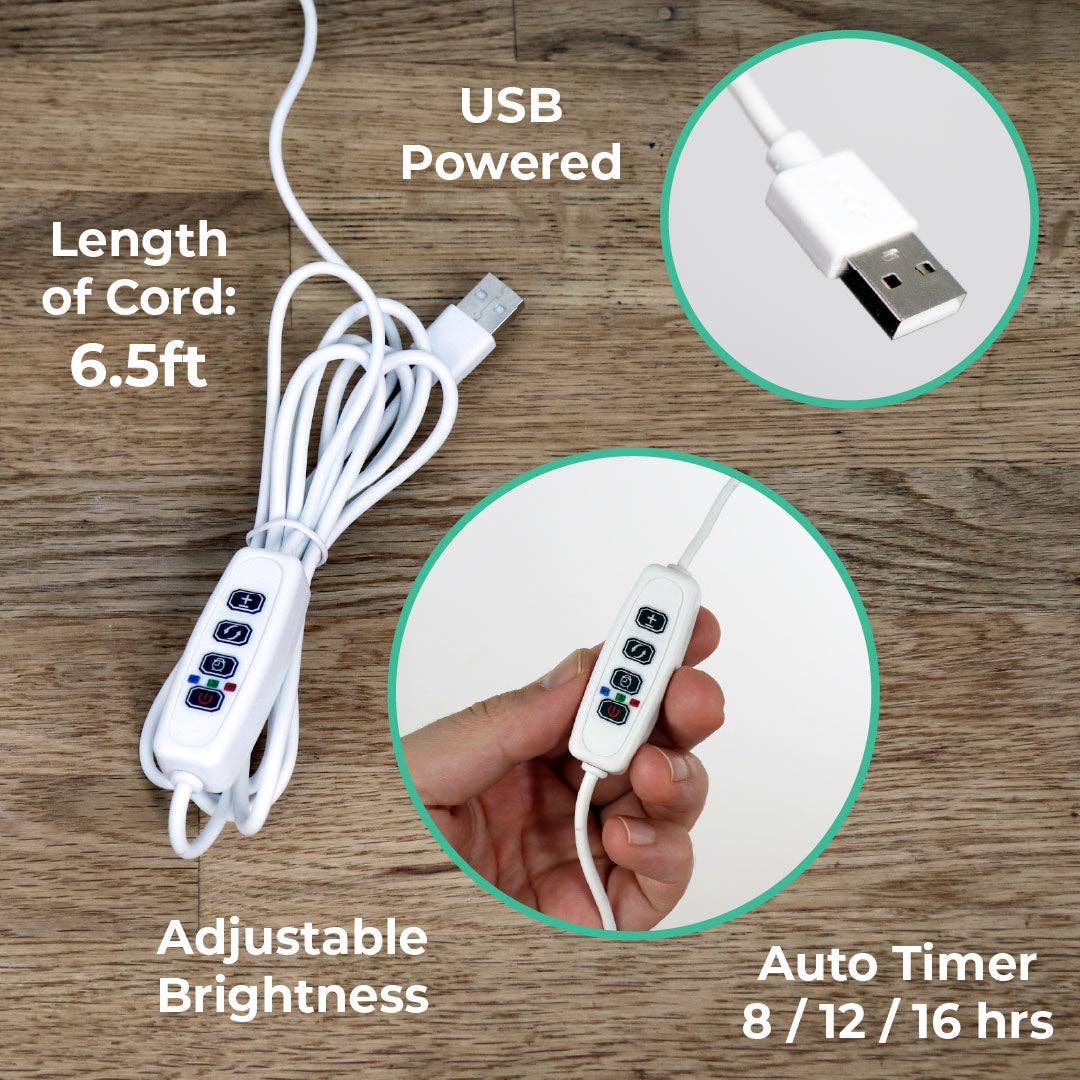 Tiny Treehouses - Wholesale DIY Craft Kit - Island Cabana + Grow Light7