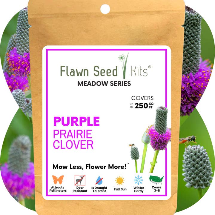 Purple Prairie Clover Seed Pouches for wholesale by Flawn Seed Kits