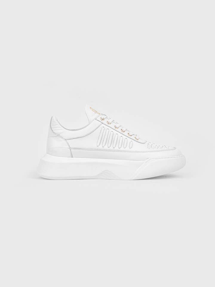 Fred voor wholesale door JOHN RICHARDO