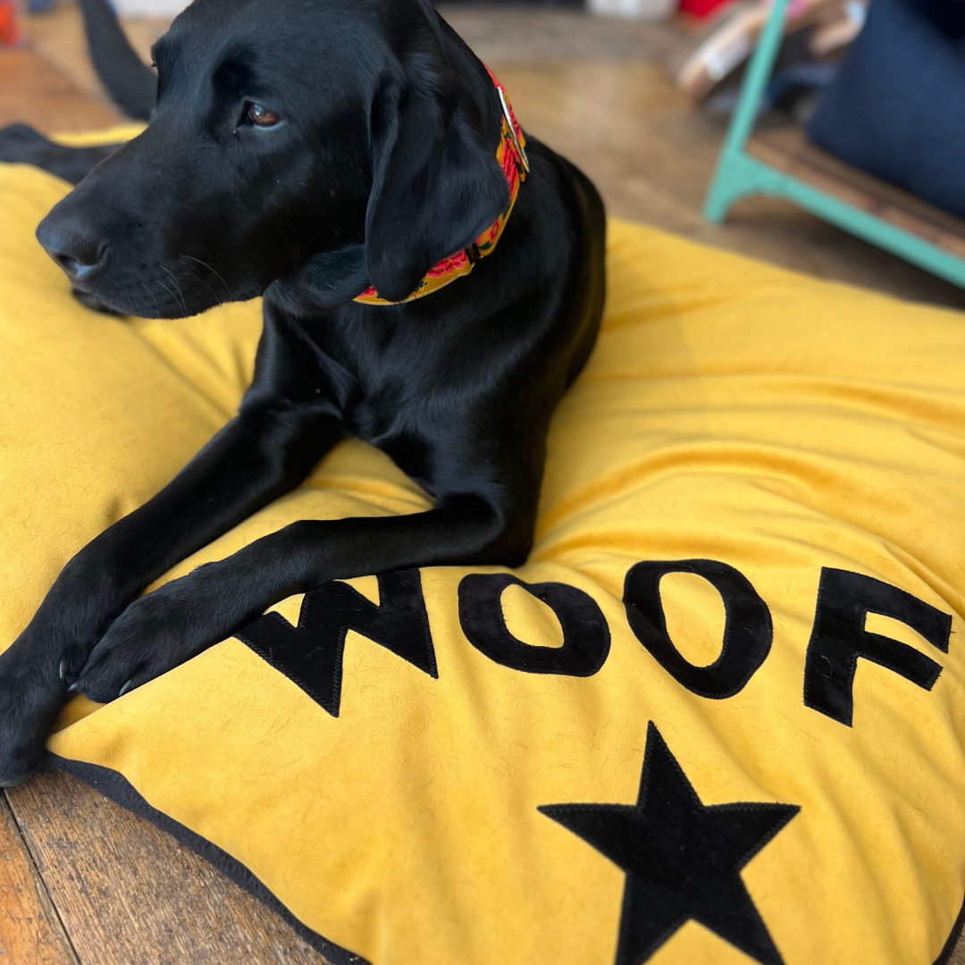 Creature Clothes - Wholesale Pet Bed - Dog - Dog bed in mustard velvet with black WOOF letters and star detail10