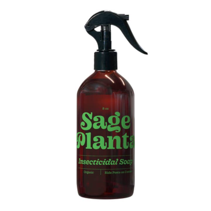 Sage Planta - Wholesale Insect Repellent - Insecticidal Soap Plant Spray