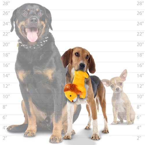 Tuffy Dog Toys - VIP Products - Wholesale Piepspeeltje - Hond - Mighty Jr Safarileeuw, pluche, piepend hondenspeelgoed6