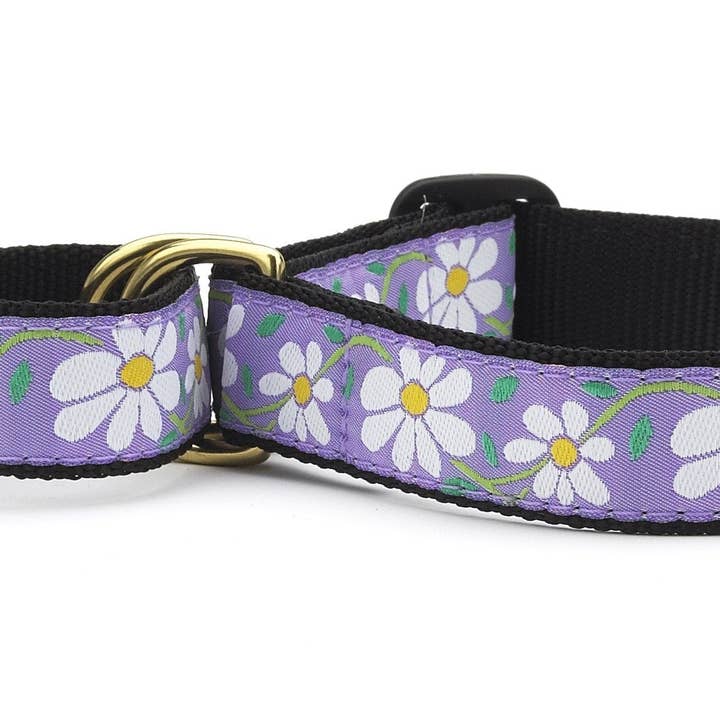 Daisy Martingale Dog Collar for wholesale by Up Country, Inc.