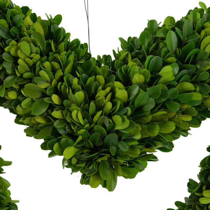 A&B Home Group Inc. - Wholesale Wreath - 16" Preserved Boxwood Heart Wreath - Green1