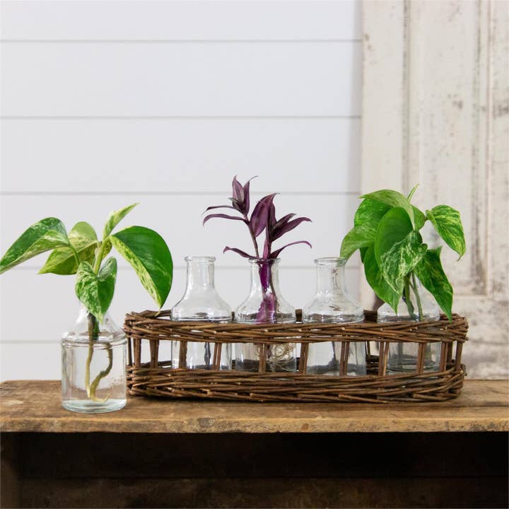 Audrey's Home & Gift - Wholesale Vase - Wicker Basket With Glass Vases (PC)