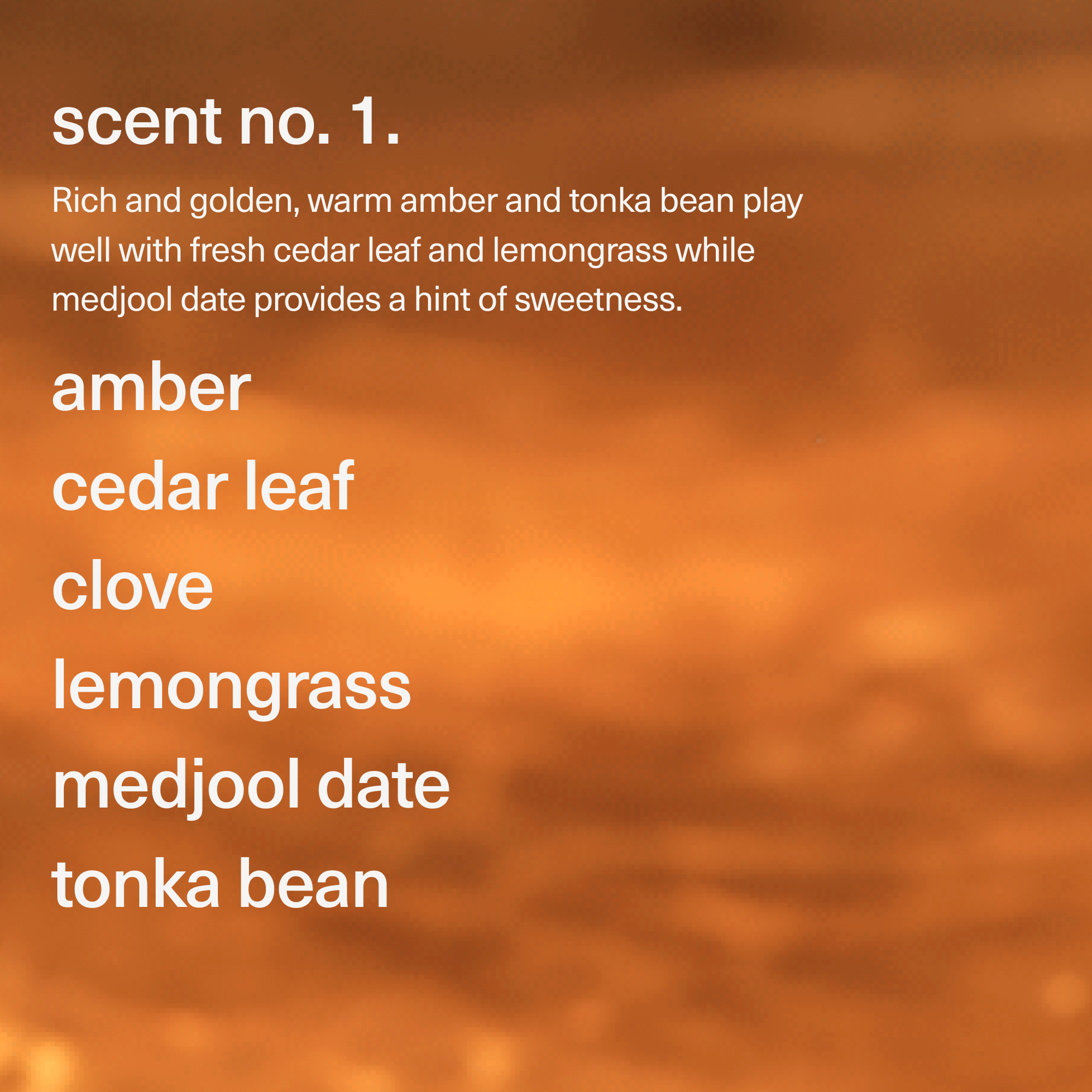 maude - Wholesale Jar/Filled Candle - Burn no. 1 - massage candle, amber, lemongrass, gifts.3