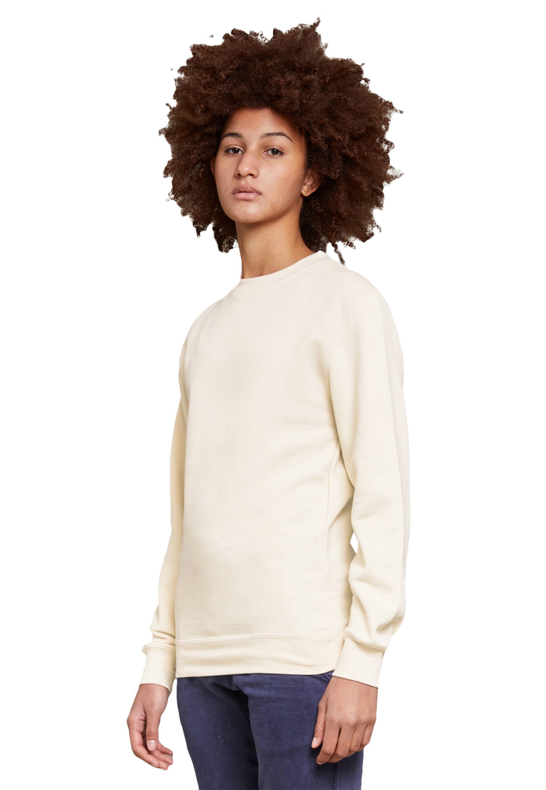 Lane Seven Apparel - Wholesale Sweatshirt - Unisex - Premium Crewneck Sweatshirt - For Men & Women48