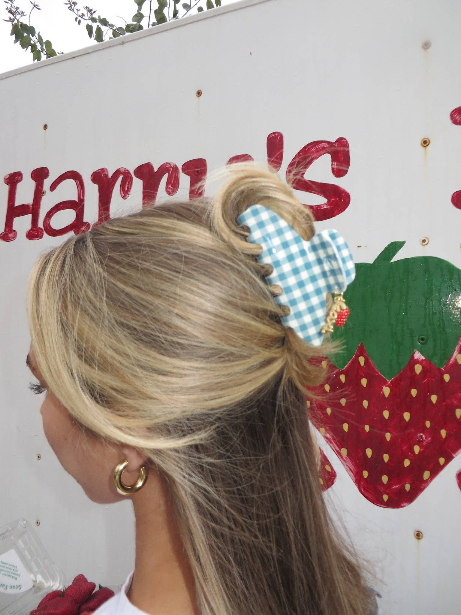 KAXI - Wholesale Hair Clip - Women's - BLUE GINGHAM STRAWBERRY CHARM CLAW1
