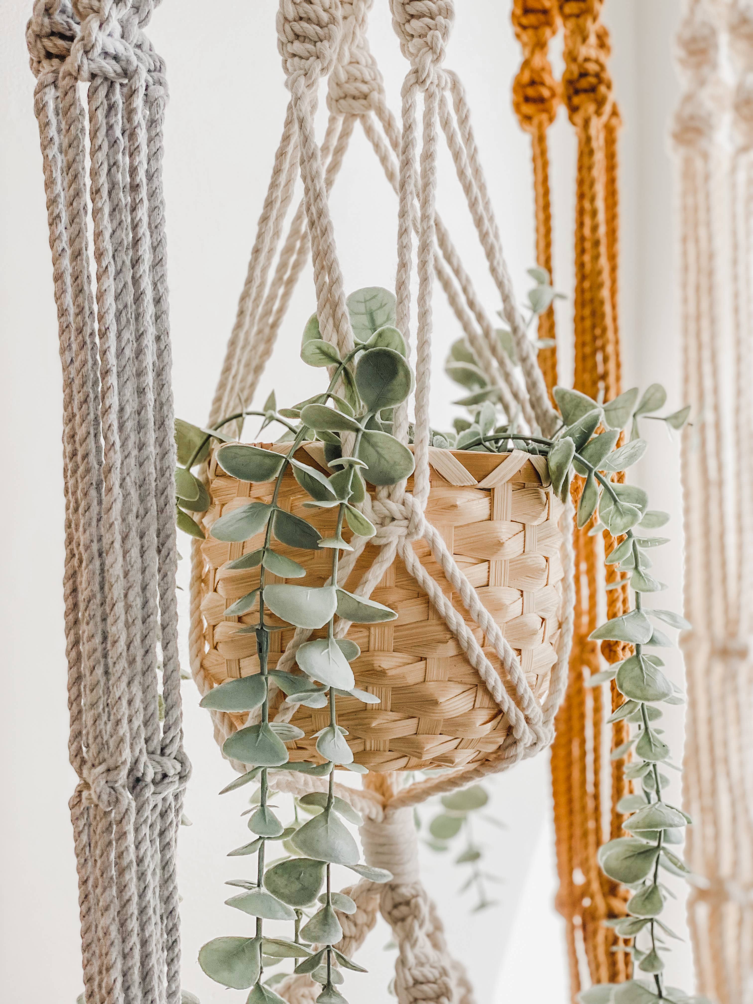 Ashley's Macrame - Wholesale Hanging Planter - Classic Macrame Plant Hanger2