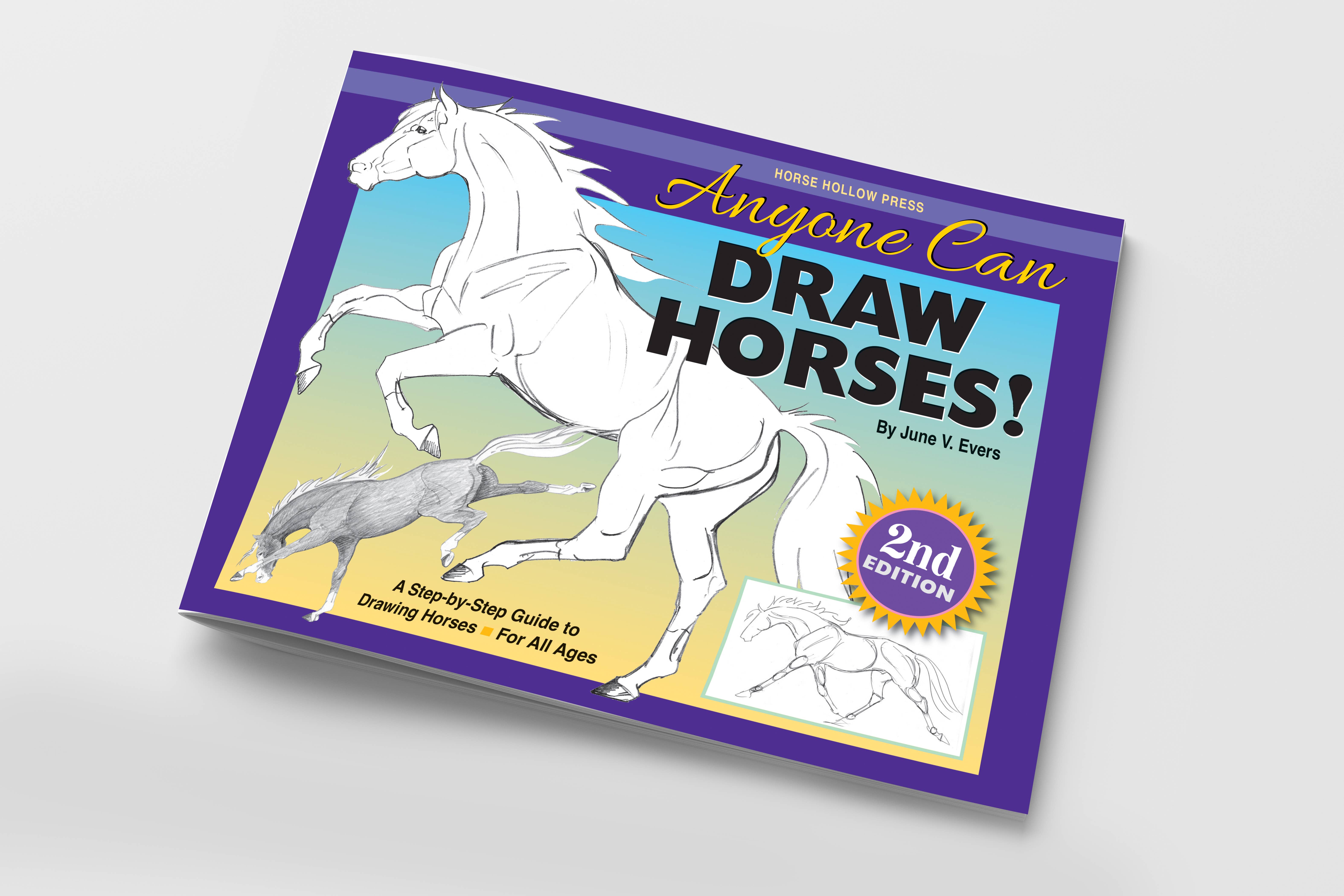 Horse Hollow Press / Pretty, Funny, Snarky Cards & Stickers - Wholesale Coloring & Activity Book - Adult - Art Book Horse Equestrian / Anyone Can Draw Horses / All Age20