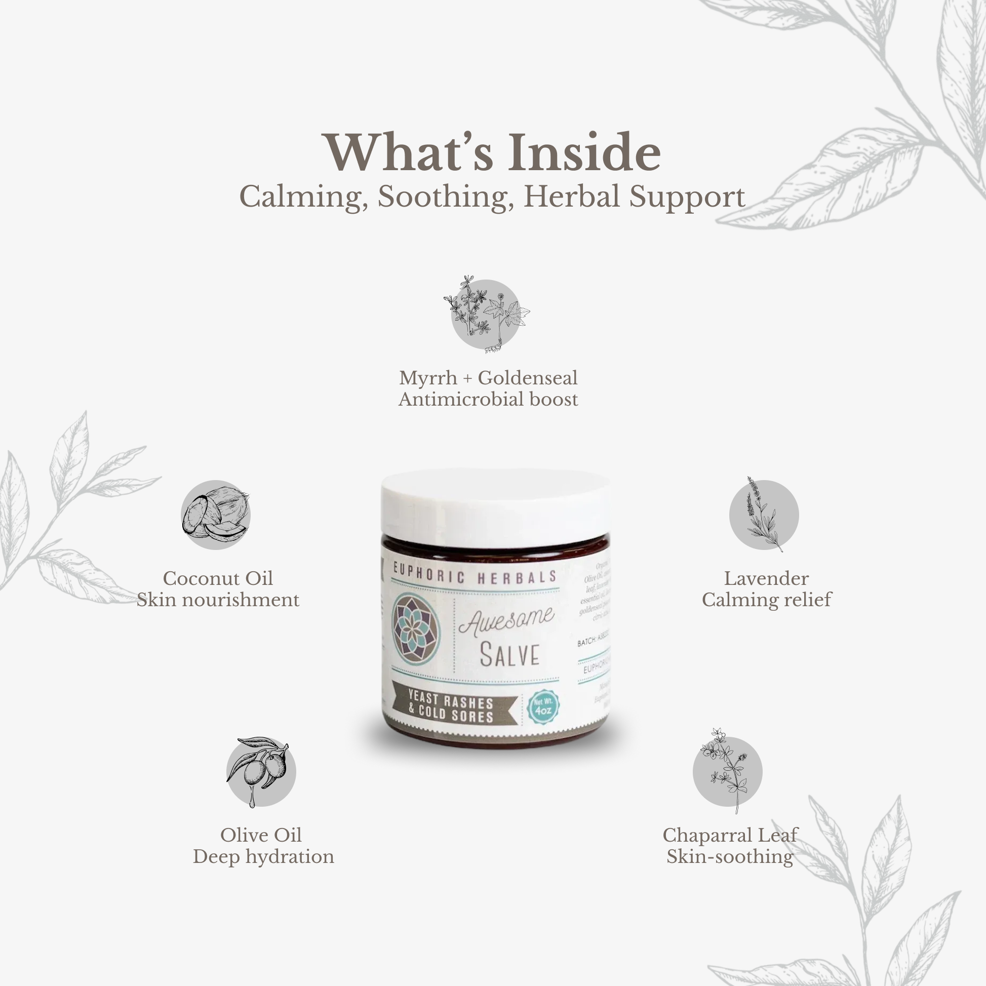 Euphoric Herbals - Vente Crème/baume/pommade cicatrisante - Génial Salve8