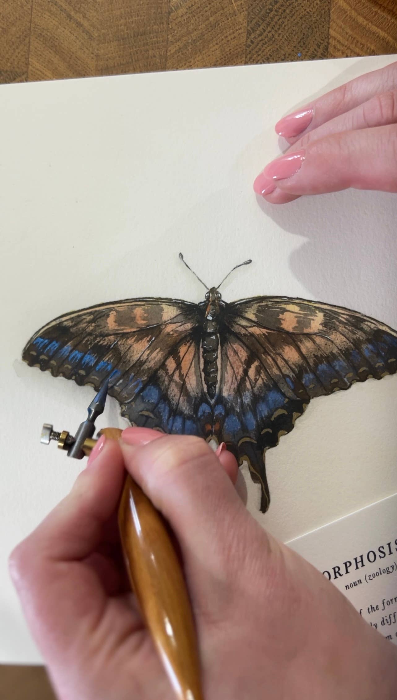 Ciarra Claire - Wholesale Art Print - *Hand Embellished* Swallowtail Butterfly Fine Art Print5