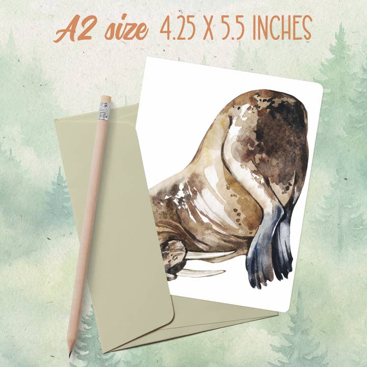 Handmade walrus greeting card set for wholesale by Soul Familiar