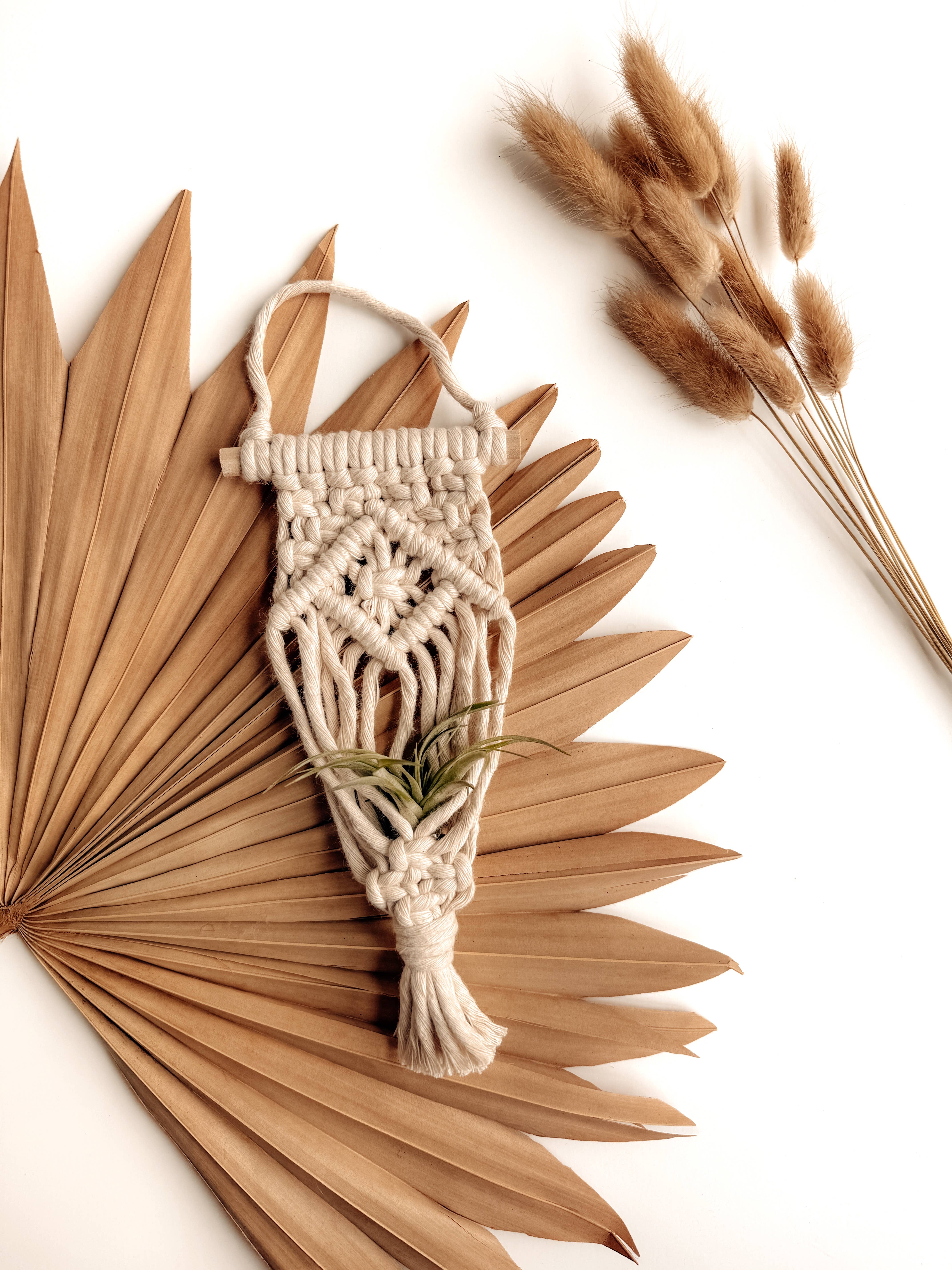 Meraki The Studio Co. - Wholesale Hanging Planter - Air Plant Hanger | Macrame Planter Holder | Boho Home Decor0