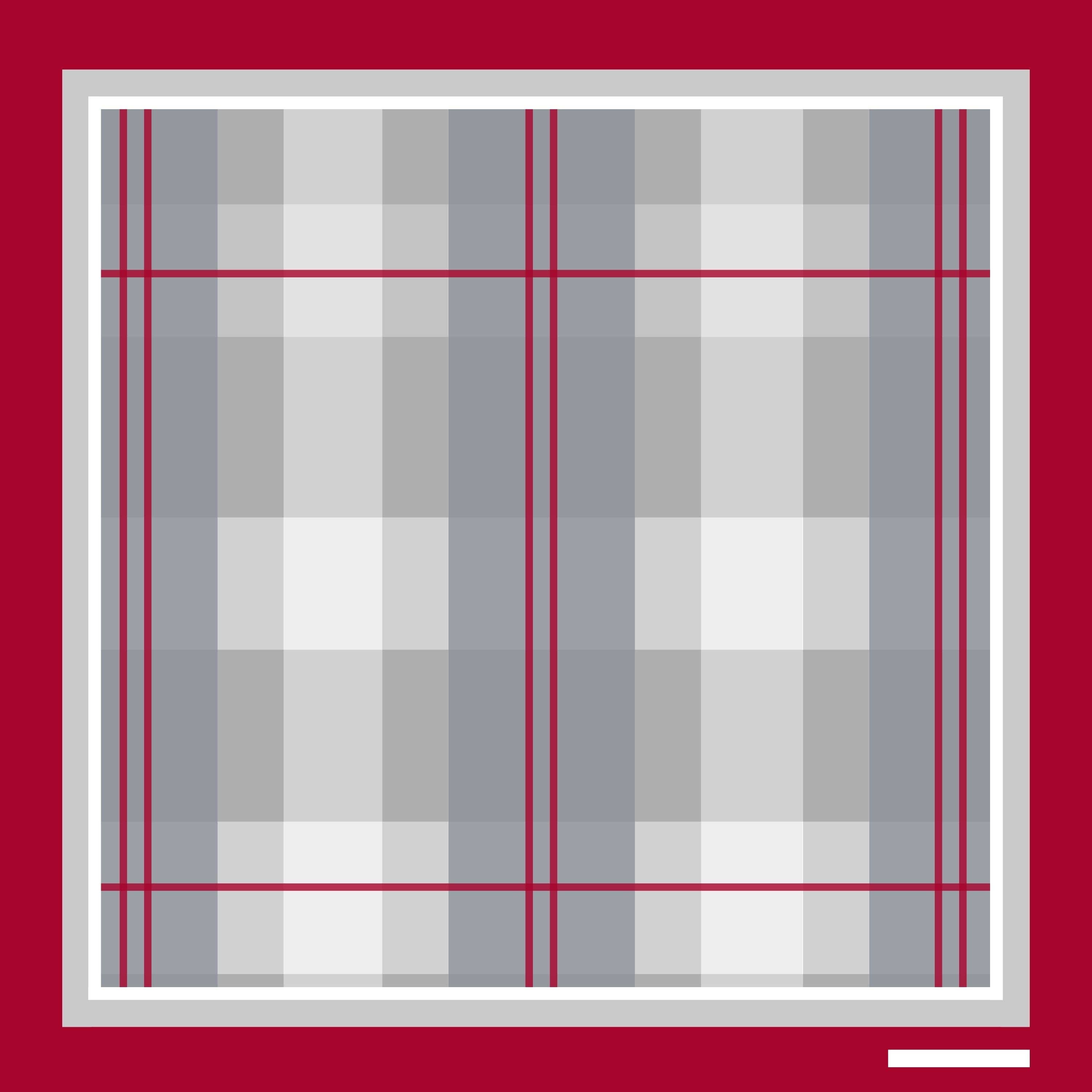 C. Tonsmeire – Großhandel Schal – Damen – Quad-Schal1