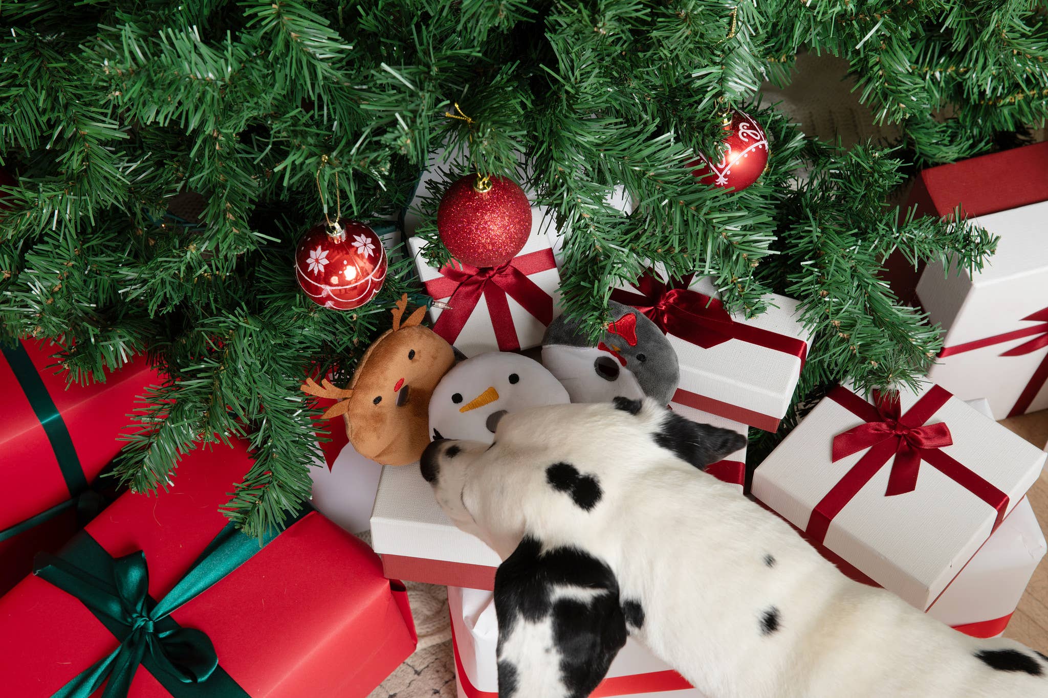 Midlee Designs – wholesale Mjukisdjur - Hund – Midlee Designs juliga hundleksaker i form av munkar – 3-pack3