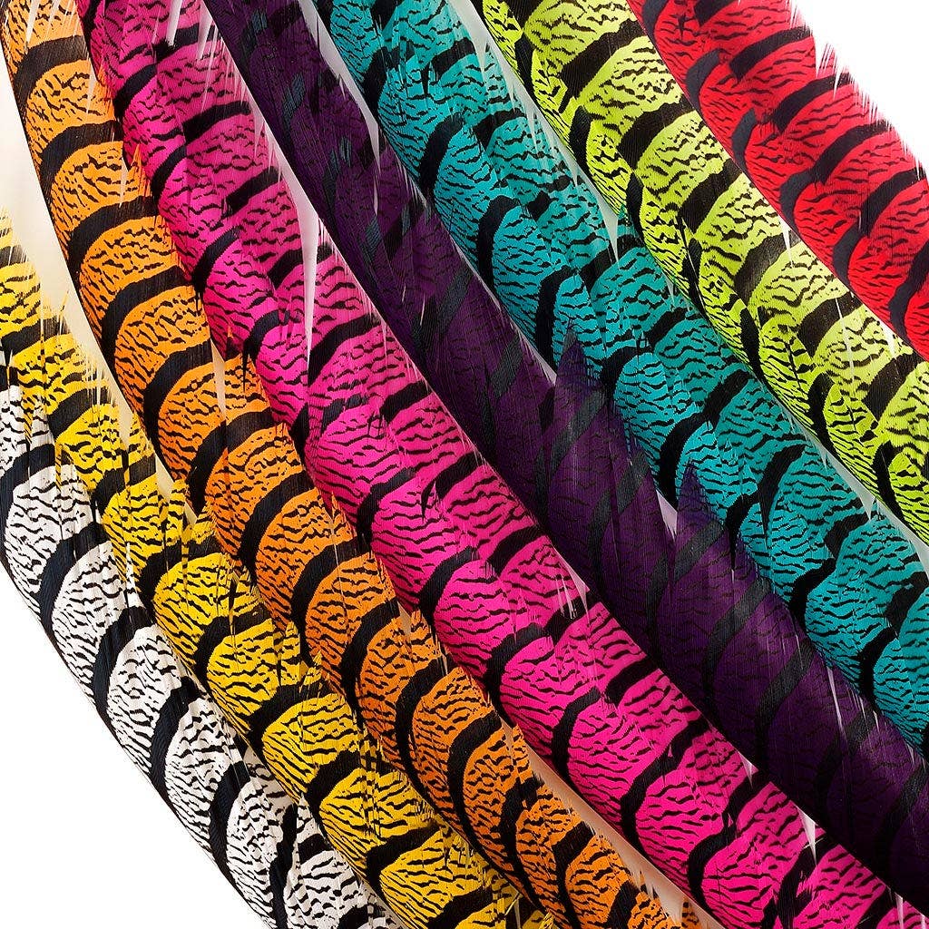 Zucker Feather Products - Vendita all'ingrosso Piume - Code di fagiano Lady Amherst - Lime4