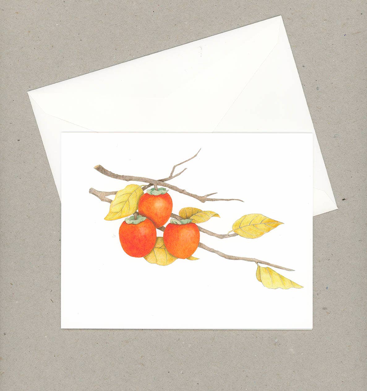 VMazzoni - Wholesale Stationery/Notecard Set - Boxed Botanical Note Cards Set of Six1