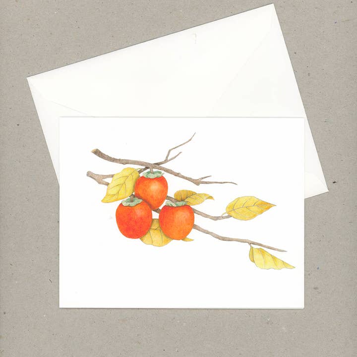 VMazzoni - Wholesale Stationery/Notecard Set - Boxed Botanical Note Cards Set of Six1