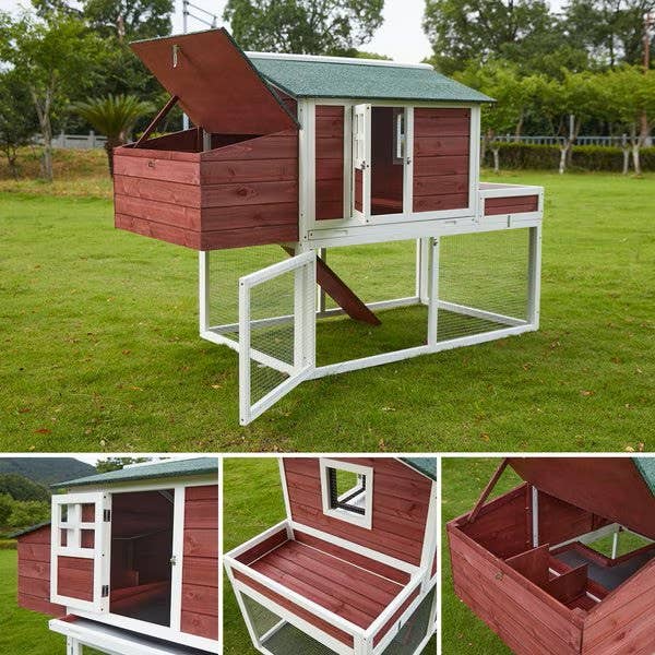 Caitec Inc - Wholesale Bird House - Featherland Paradise Outdoor Bird Habitat8