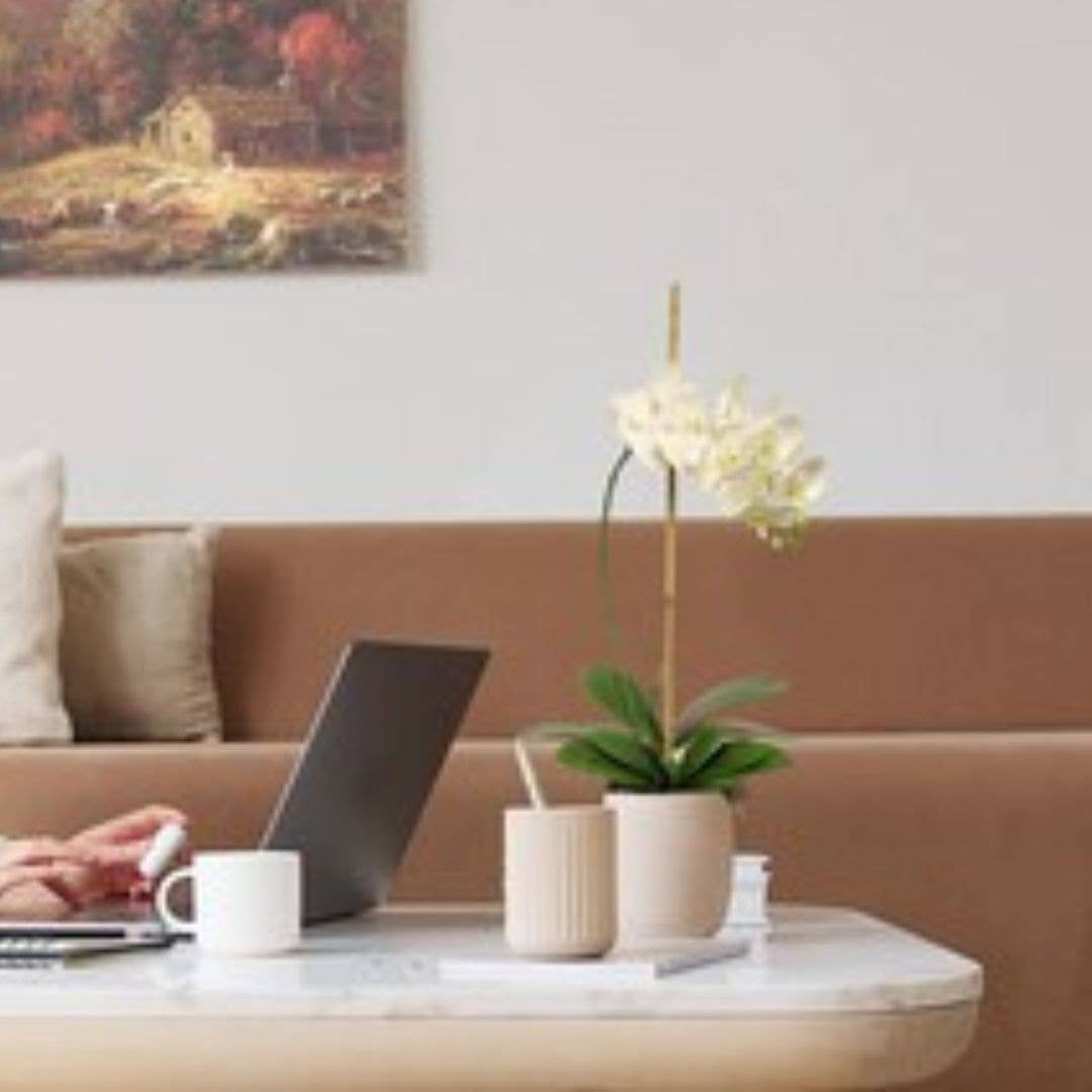 Larksilk - Wholesale Artificial Flowers - White Phalaenopsis Orchid Stem 41-Inch With 13 Silk Flowers1