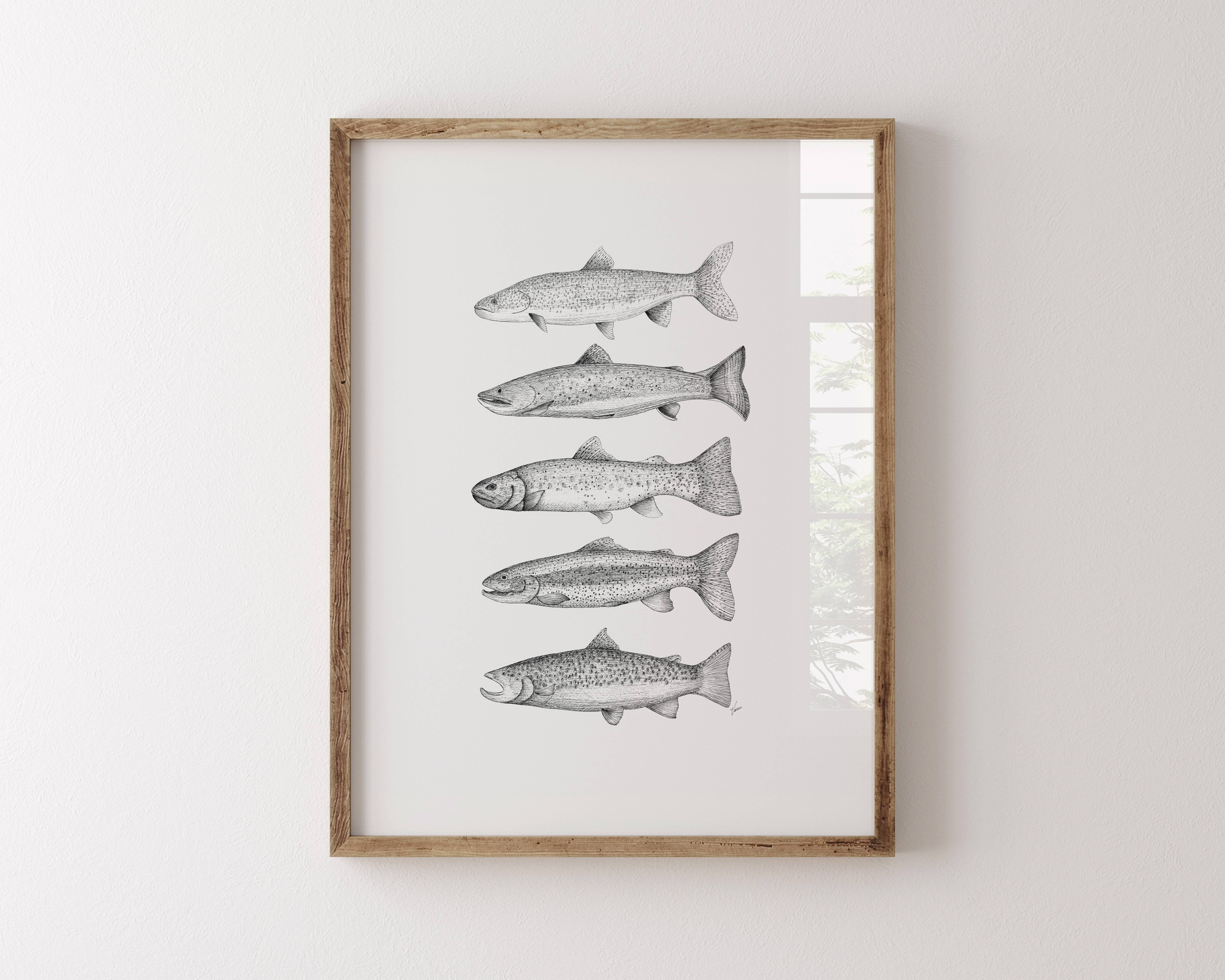 Vanee.ink - Wholesale Art Print - Colorado Trout Print2