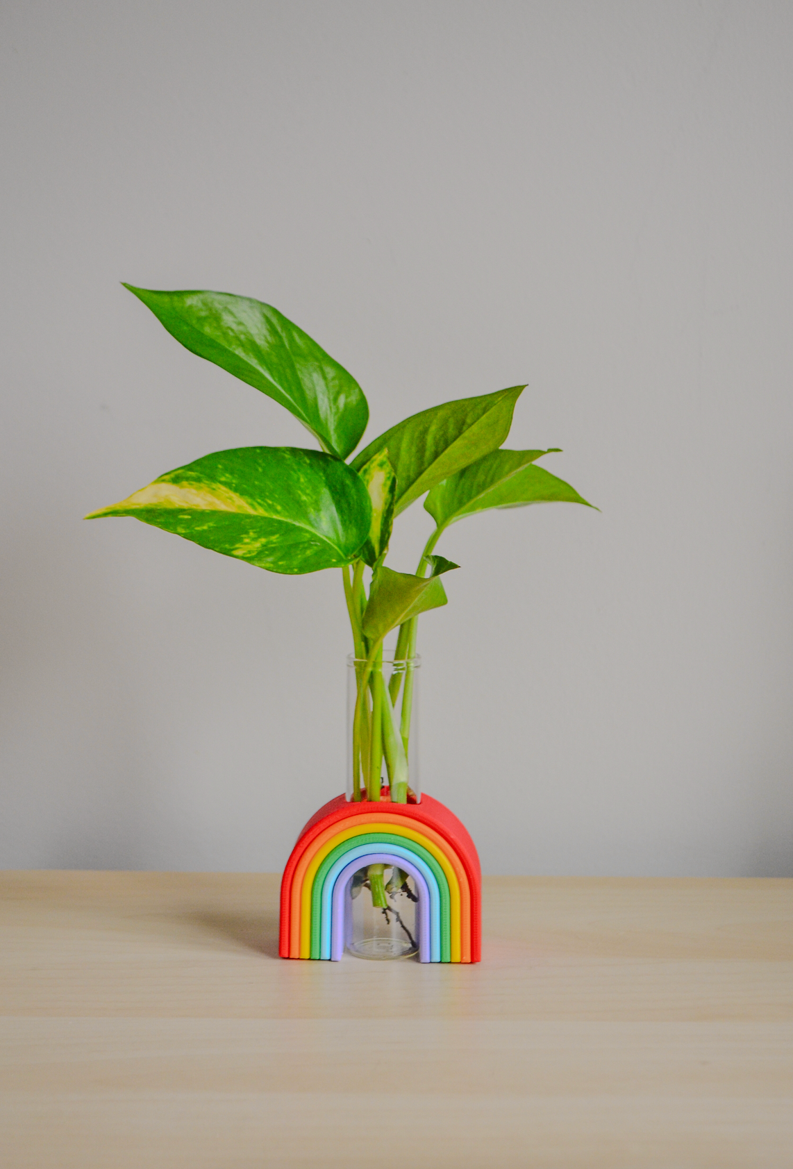 LindaMakess - Wholesale Vaas - Regenboog Knopvaas - Vernieuwd Ontwerp1