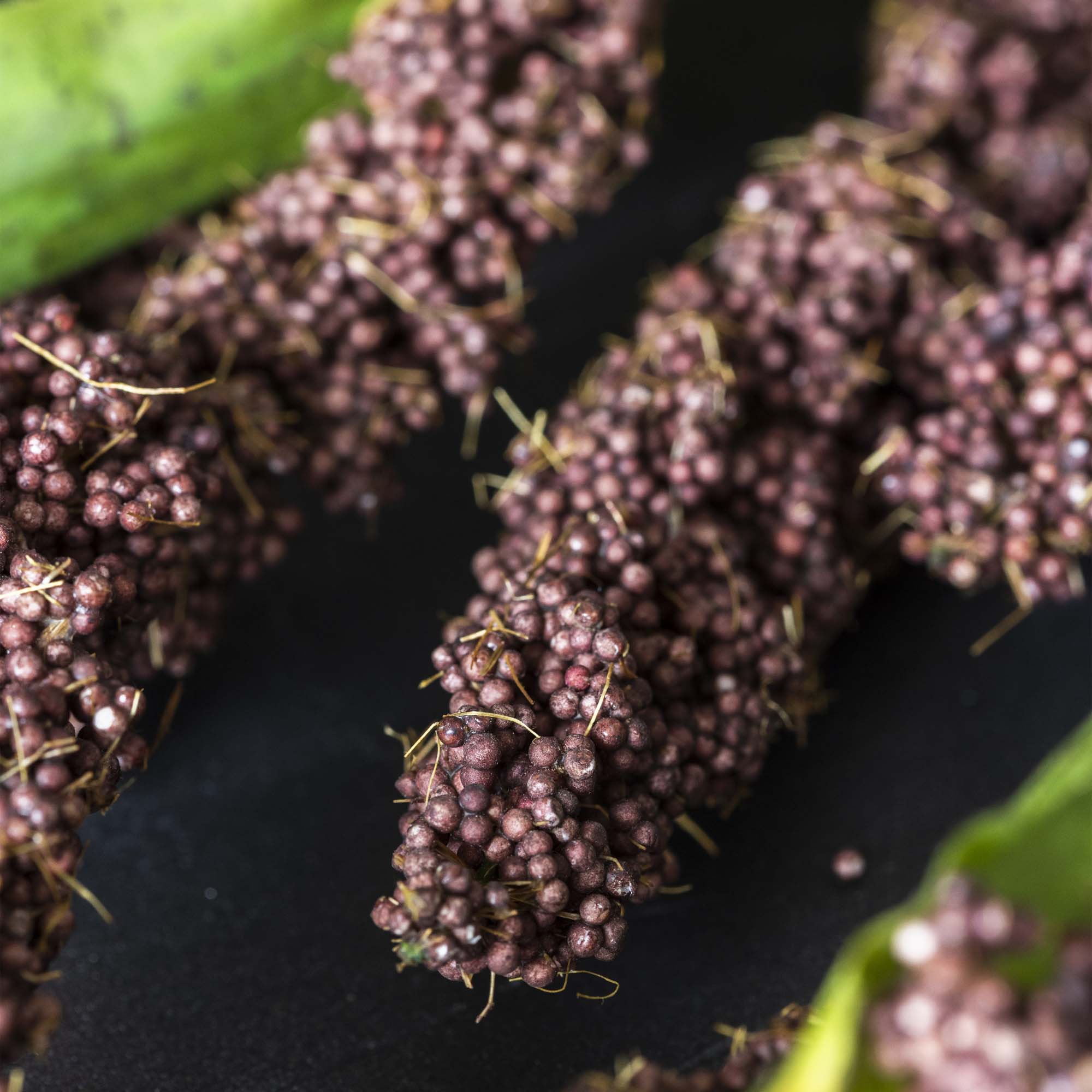 Abigail Ahern – Engroshandel Kunstige blomster – KUNSTIG RISBLOMST2