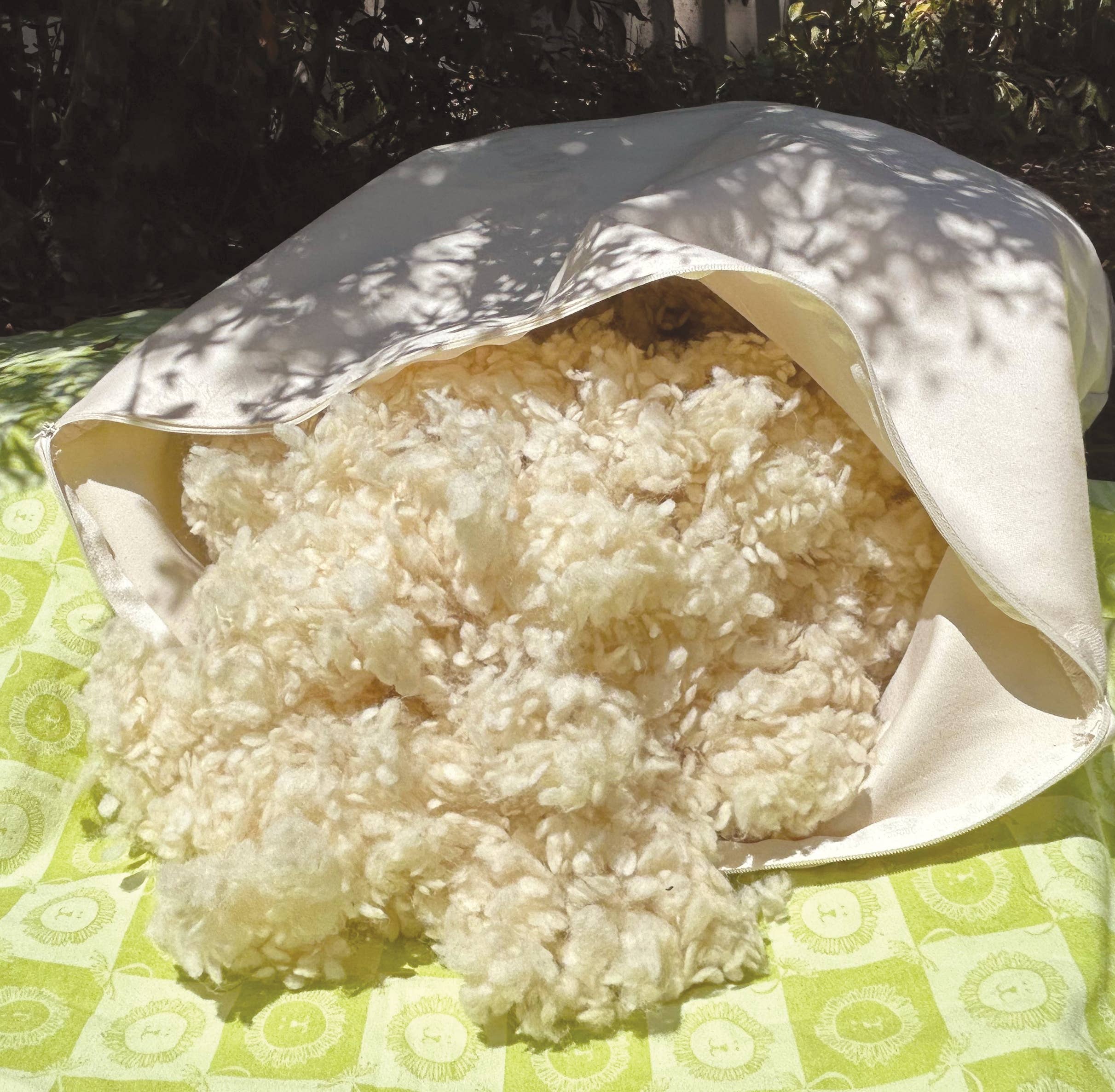 Healthy Body Head To Toe - Wholesale Pillow Insert - Organic and Natural Fibers1