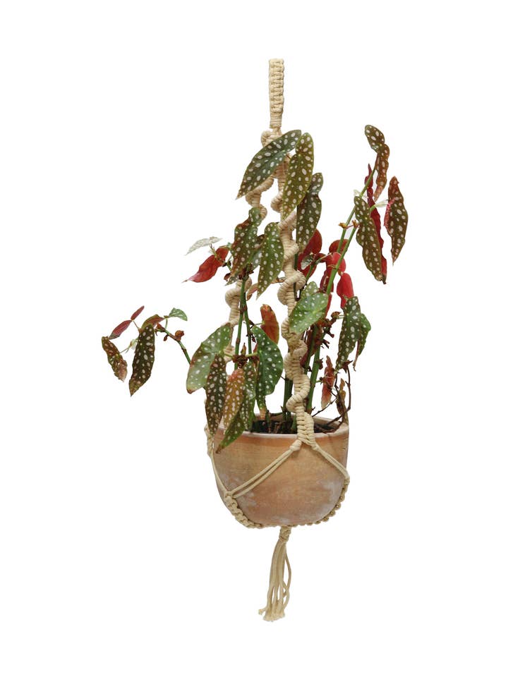 Wavy Plant Hanger - Sand Color for wholesale by Soul of the Party