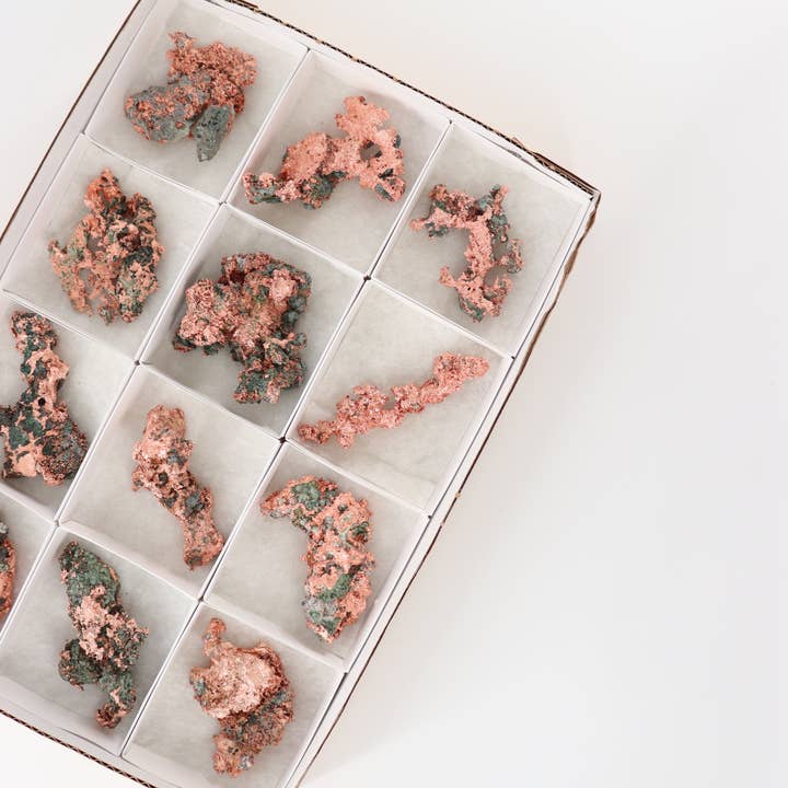 Cuivre natif, plat, 12 pièces, provenant du Michigan pour la vente par Mi Esperanza Minerals