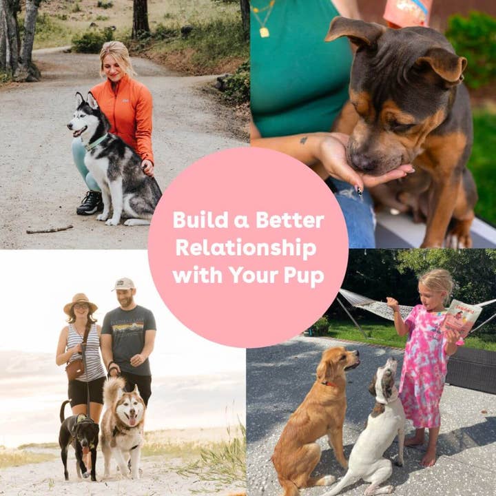 Pupford - Wholesale Pet Treats - Dog - Soft Chicken Training Treats9