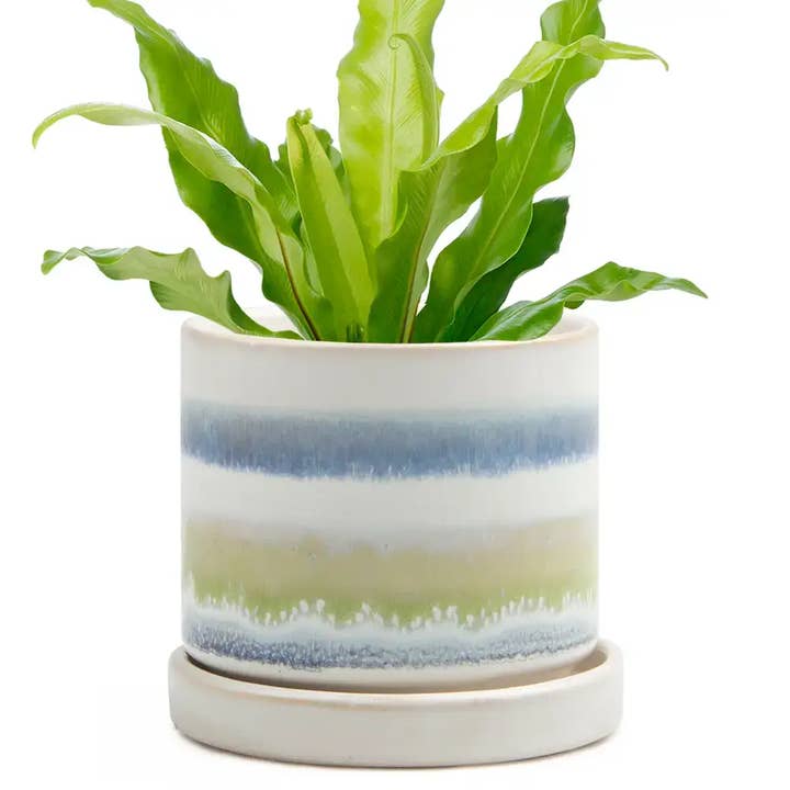 Chive UK - Wholesale Plant Pot - Minute Handmade Ceramic Planter Indoors Pot With Saucer37