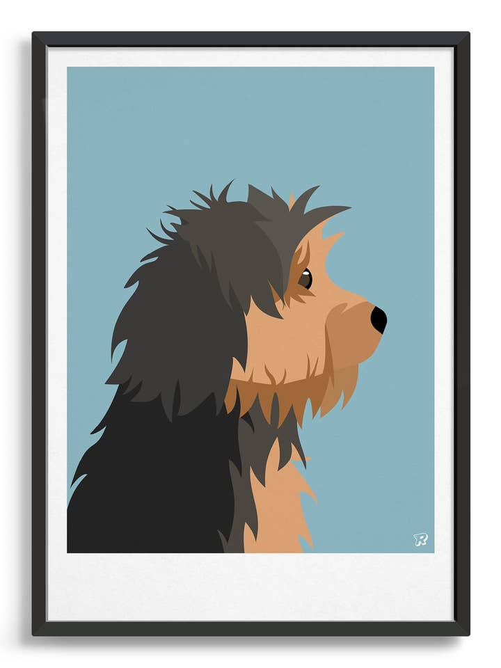 Yorkshire terrier for wholesale by Rocket Jack