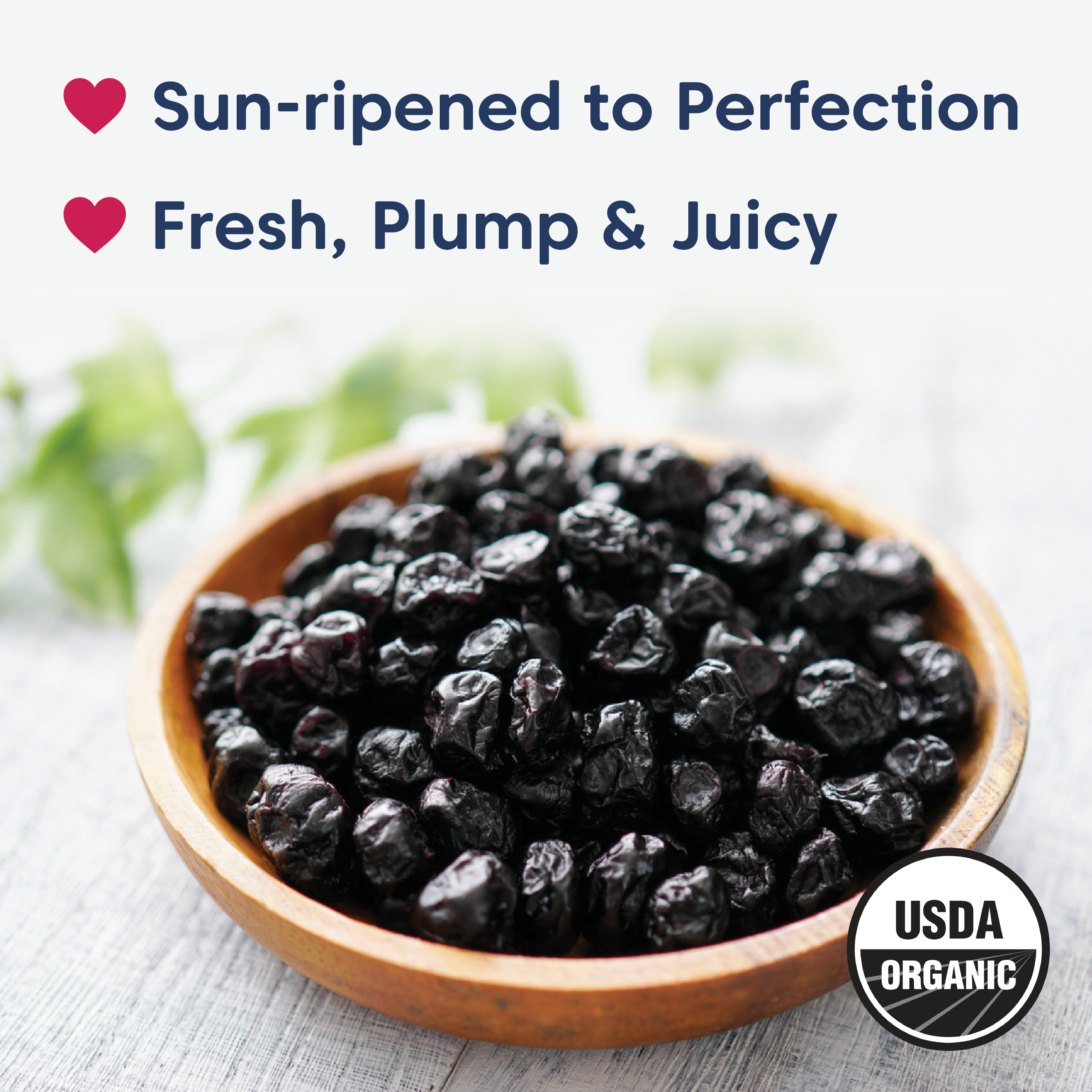 Wilderness Poets - Wholesale Dried/Dehydrated Fruit - Oregon Blueberries3