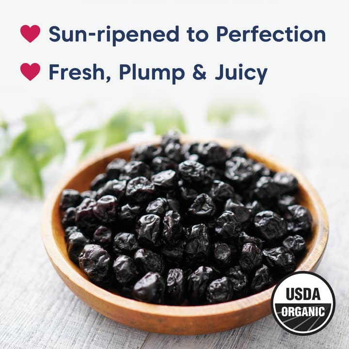 Wilderness Poets - Wholesale Dried/Dehydrated Fruit - Oregon Blueberries3