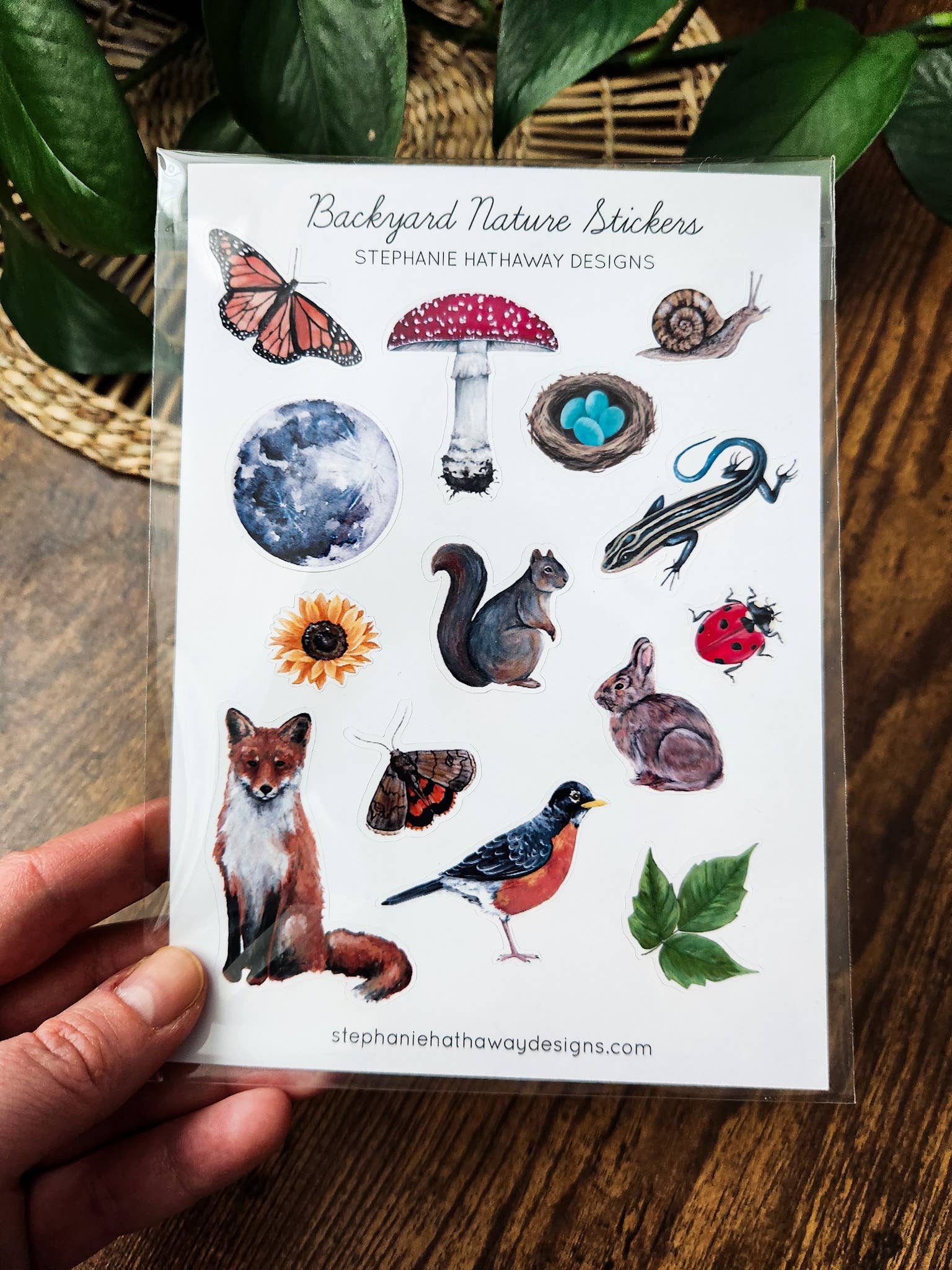 Stephanie Hathaway Designs - Wholesale Sticker - Backyard Nature Stickers Sticker Sheet1