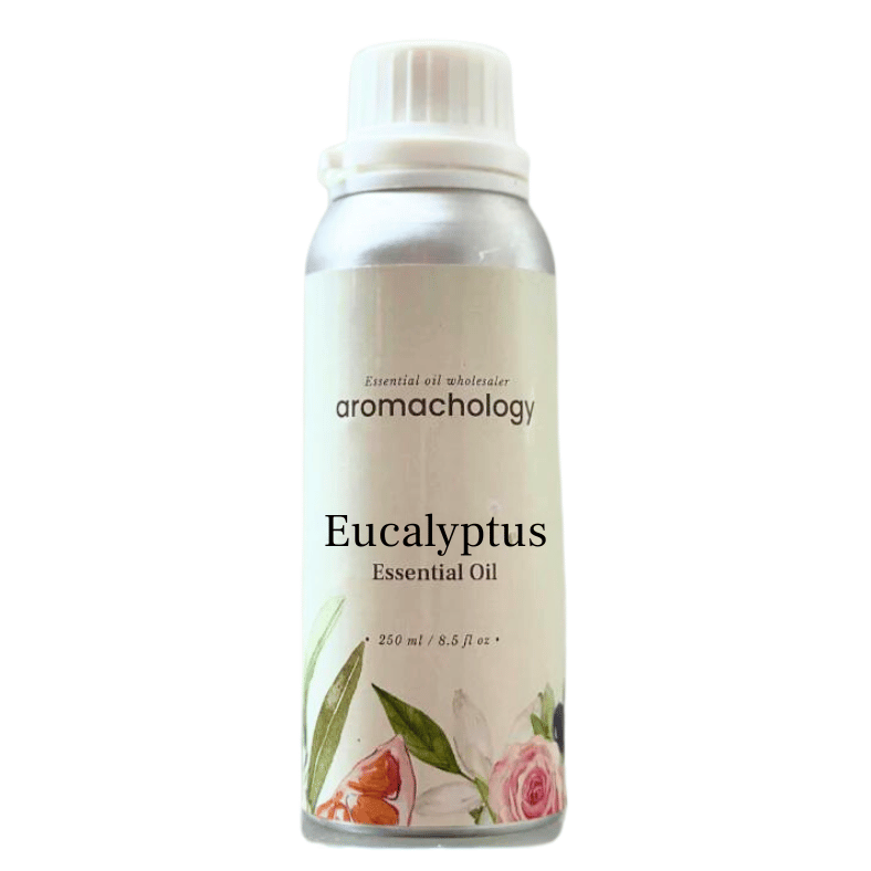 Aromachology - Wholesale Essential Oil - Organic Eucalyptus Essential Oil For Hair7