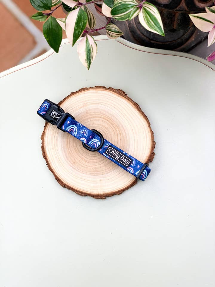 Blue Over The Rainbow Puppy Dog Collar for wholesale by Chilly Dog