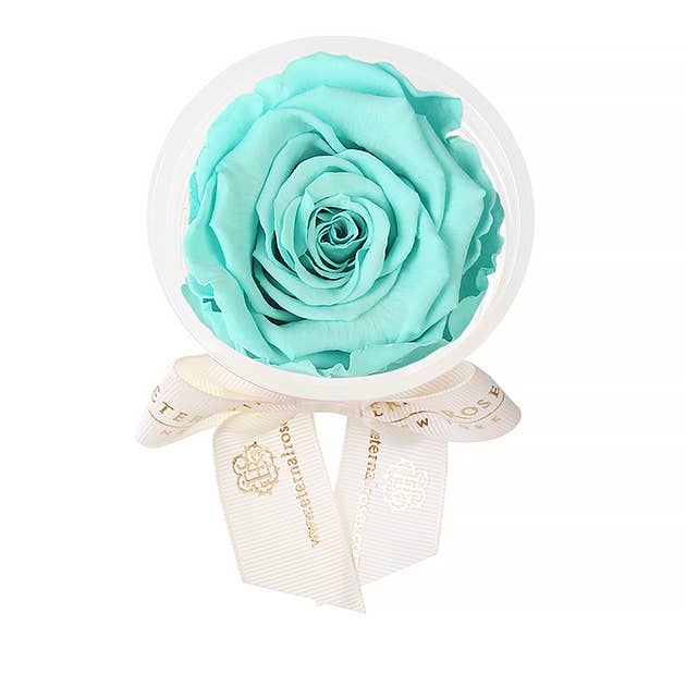 Eternal Roses® - Wholesale Party Favor - Eternal Rose Party Favors19
