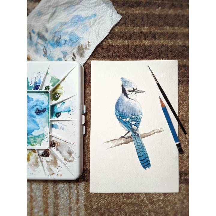 Watercolour Blue Jay Art Print for wholesale by ALICIA'S INFINITY
