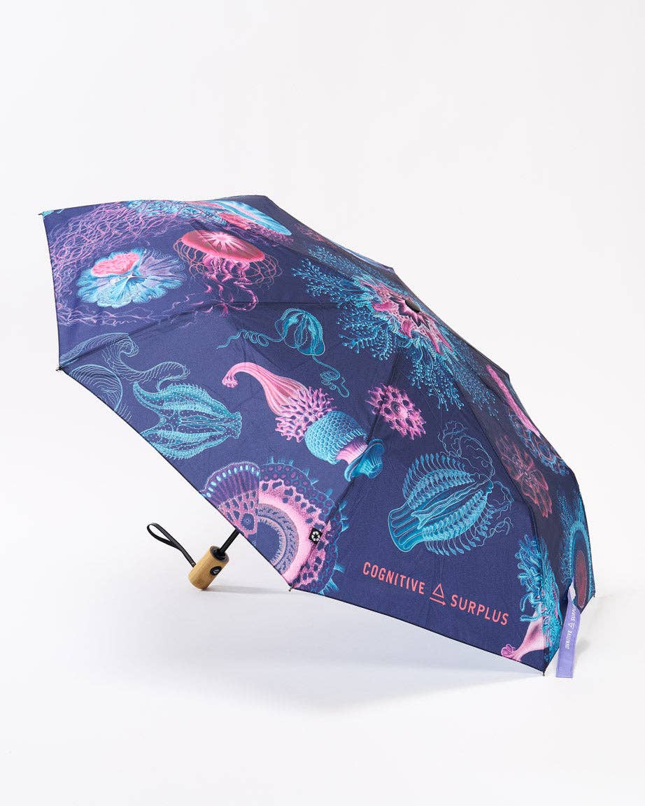 Cognitive Surplus EU - Wholesale Umbrella - Unisex - Haeckel Jellyfish Umbrella (Case of 4)1
