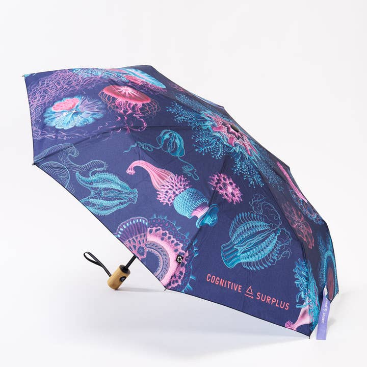 Cognitive Surplus EU - Wholesale Umbrella - Unisex - Haeckel Jellyfish Umbrella (Case of 4)1