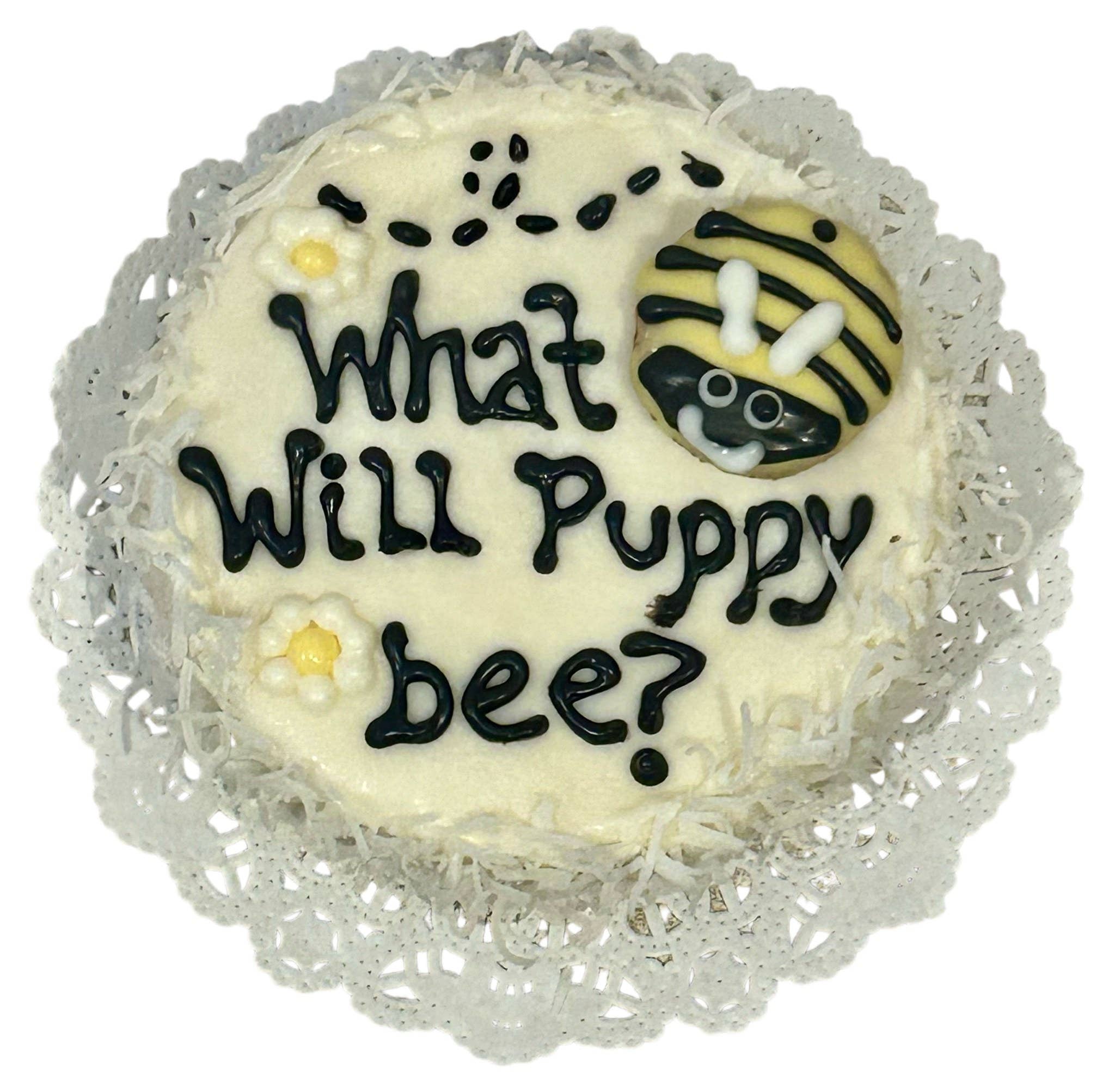 DELCO DOG CO. - Wholesale Pet Treats - Dog - Puppy Reveal Dog Cakes3