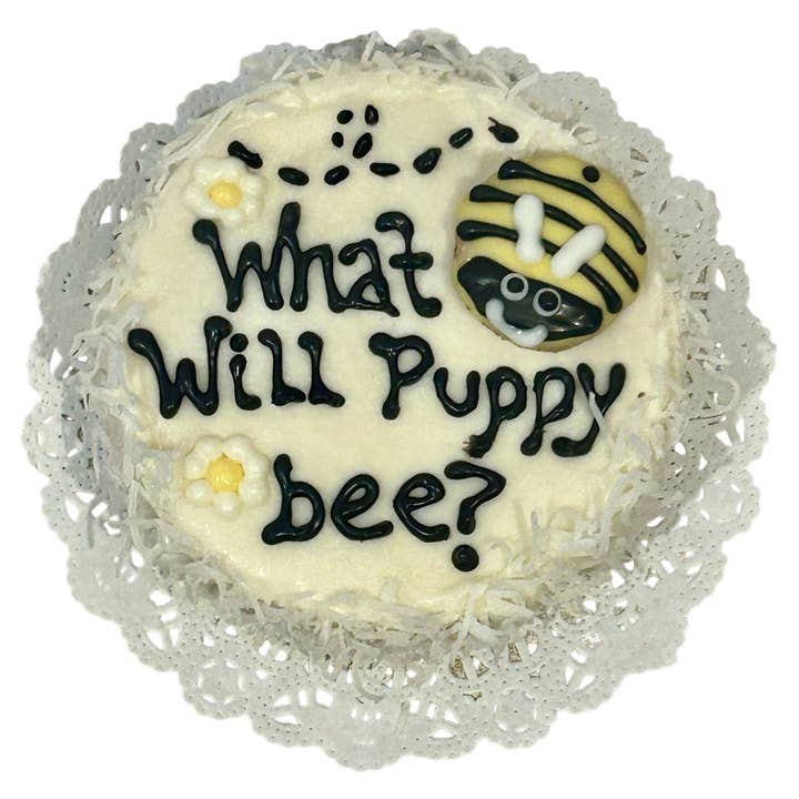 DELCO DOG CO. - Wholesale Pet Treats - Dog - Puppy Reveal Dog Cakes3