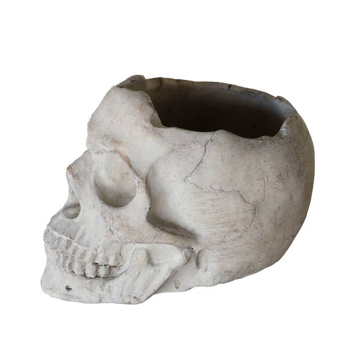 Blue Ocean Traders - Wholesale Outdoor Ornament/Decor - Concrete Momento Mori Skull2