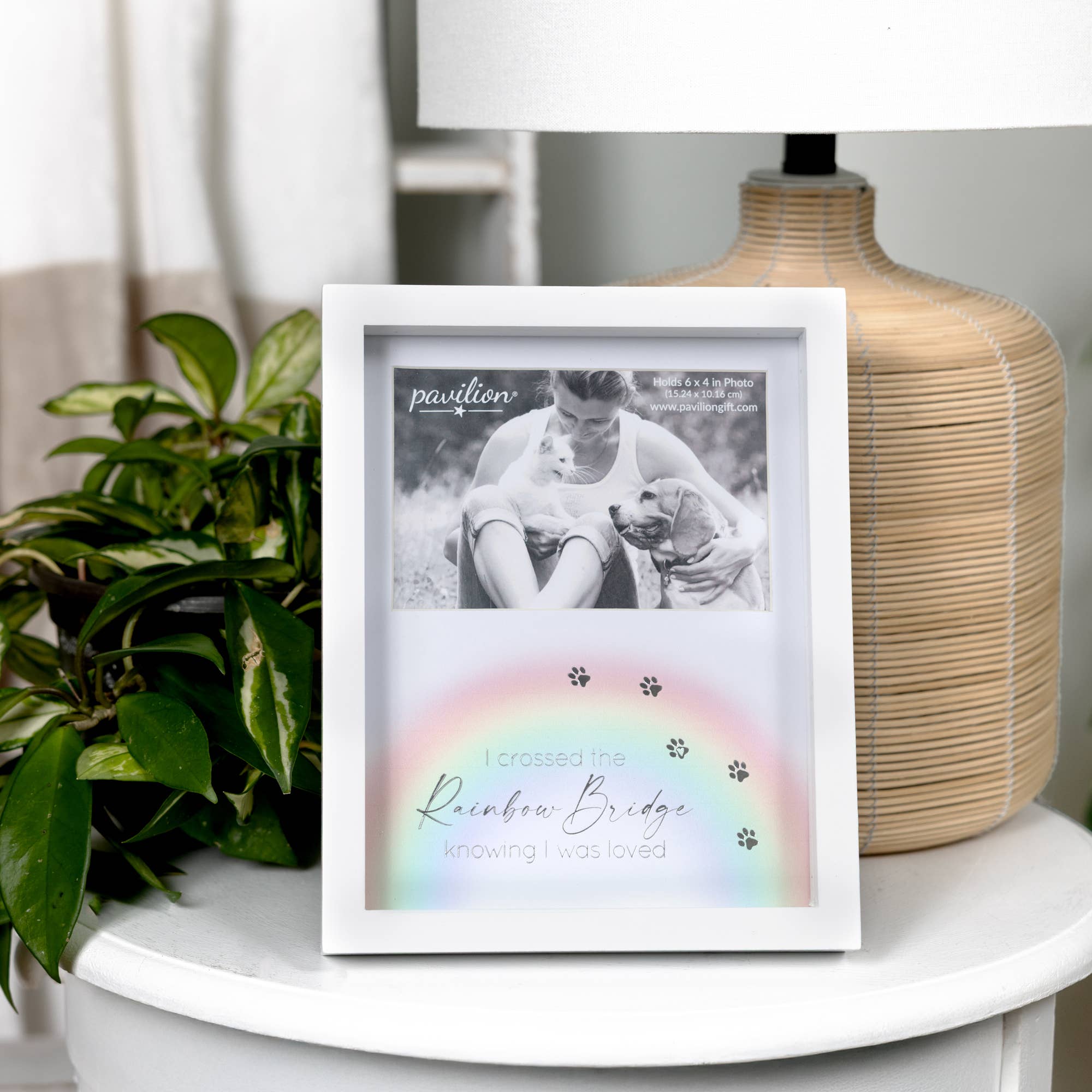 Pavilion - Wholesale Picture Frame - Rainbow Bridge 7.5" x 9.5" Shadow Box Frame (6" x 4" Photo)1